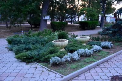 Прикрепленное изображение: DSC_0467.JPG